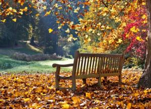 В Киеве зафиксирован первый температурный рекорд ноября 