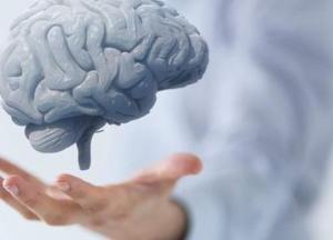 Ученые узнали, как победить старение мозга