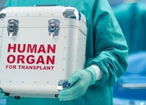 Кабмин утвердил порядок перевозки анатомических материалов человека