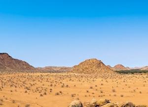 Ученые рассказали о причине появления человеческой цивилизации 