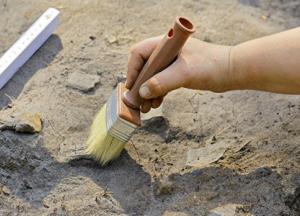 Археологи раскрыли секрет имбирного пива 19 века