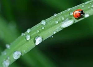 Прогноз погоды на 23 мая: солнце и дожди