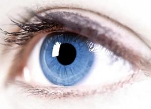 Медики назвали витамины для органов зрения