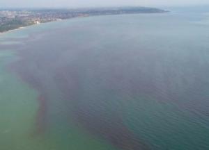 В Одессе "покраснело" море