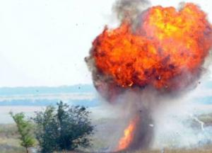 В России радиация сожгла листву в радиусе 300 километров от месте взрыва (фото, видео)