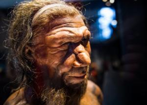 Опровергнут популярный миф о вымирании неандертальцев