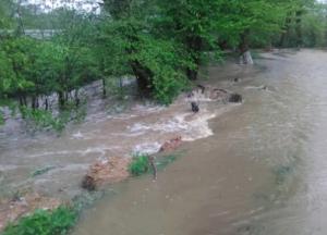 На Прикарпатье паводок подтопил 165 населенных пунктов, разрушены мосты и дороги