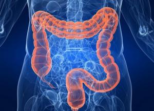 Состояние кишечника влияет на продолжительность жизни: вывод ученых