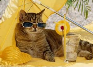 Африканська спека в Україні: метеоролог дав невтішний прогноз щодо хвиль тепла