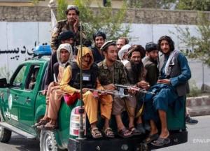 Талибы возобновят казни и отсечение конечностей