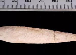 Археологи обнаружили наконечник стрелы из библейской битвы