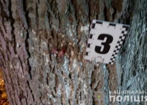 Стали известны подробности ночного взрыва в Киеве (видео)