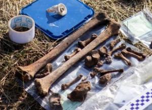 Под Львовом нашли артефакты времен Римской империи