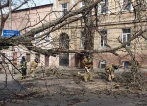 В Одесской области обесточены 224 населенных пункта