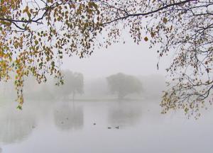 На выходных в Украину придет потепление 