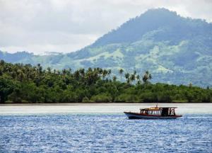 Ученые обнаружили древние наскальные рисунки с "внеземными" существами