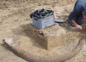 В Германии обнаружили бивень мамонта длиной почти 2,5 метра