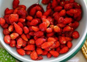 Названы полезные и вредные свойства земляники