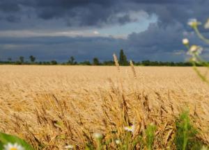 Голосование за рынок земли протянули: второго чтения может просто не быть