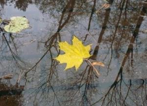 В Украину пришла метеорологическая осень