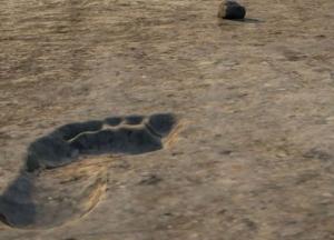 Раскрыта тайна следа "таинственного наблюдателя" древней катастрофы (фото)