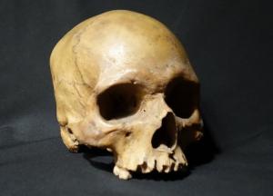 Ученые воссоздали лицо шотландской девушки, жившей 3700 лет назад (фото)