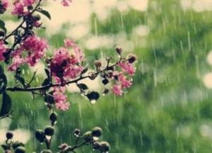 Прогноз погоды на 5 мая: в Украине дожди и грозы
