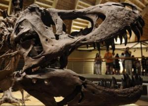 Ученые установили окончательную причину вымирания динозавров