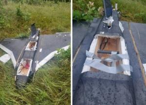 У Литві впав дрон, який залетів з Білорусі (фото)