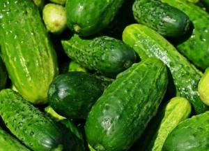 Медики рассказали о пользе ежедневного употребления огурцов для здоровья