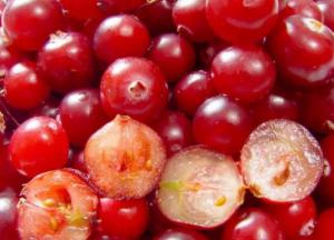Медики рассказали о пользе клюквы для здоровья