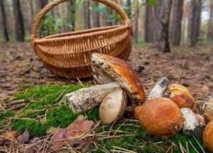 Из-за отравления грибами 18-летний парень оказался в реанимации