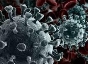 Ученые установили настоящий цвет молекулы коронавируса