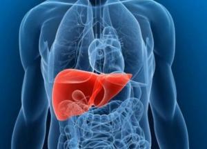 Цирроз, гепатит или рак печени: признаки, которые нельзя игнорировать