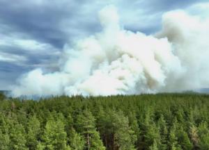 Лісові пожежі на Харківщині після ударів рф: детонують боєприпаси, готується евакуація місцевих жителів