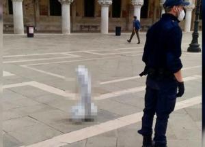 В центре Венеции установили бетонный пенис (фото)