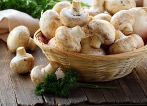 Названы целебные свойства шампиньонов