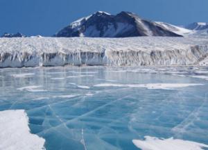 В Арктике нашли кофе, которому более 100 лет