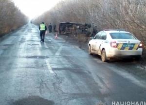 На Житомирщине маршрутка с пассажирами слетела в кювет (фото)