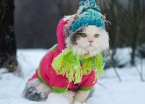 Прогноз погоды на 13 февраля: в Украине без снега, но ударят морозы