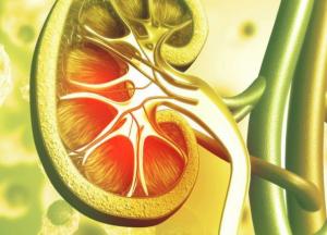 Врачи назвали продукты, которые провоцируют рост камней в почках 