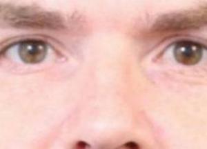 Ліквідація терориста в Києві: деталі спецоперації КОРДу в Голосіївському районі