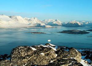 Ученые обнаружили удивительную находку в Гренландии 