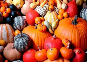 Медики назвали самые полезные продукты для почек