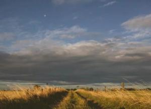 Прогноз погоды на 12 марта: тепло, но ветренно