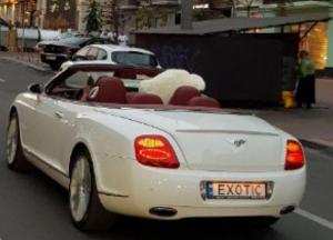 В Киеве заметили девушку на Bentley с необычным пассажиром (фото)