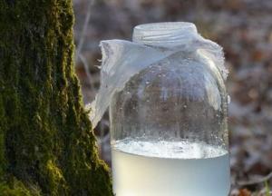 Диетологи предупредили об опасности березового сока