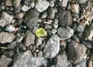 На Гавайях вулкан начал выбрасывать самоцветы (фото)