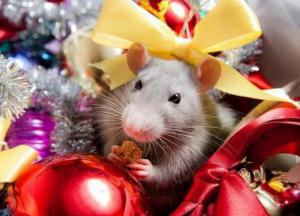 Каким Знакам восточного гороскопа повезет в 2020 году