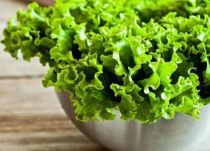 Названы целебные свойства листового салата